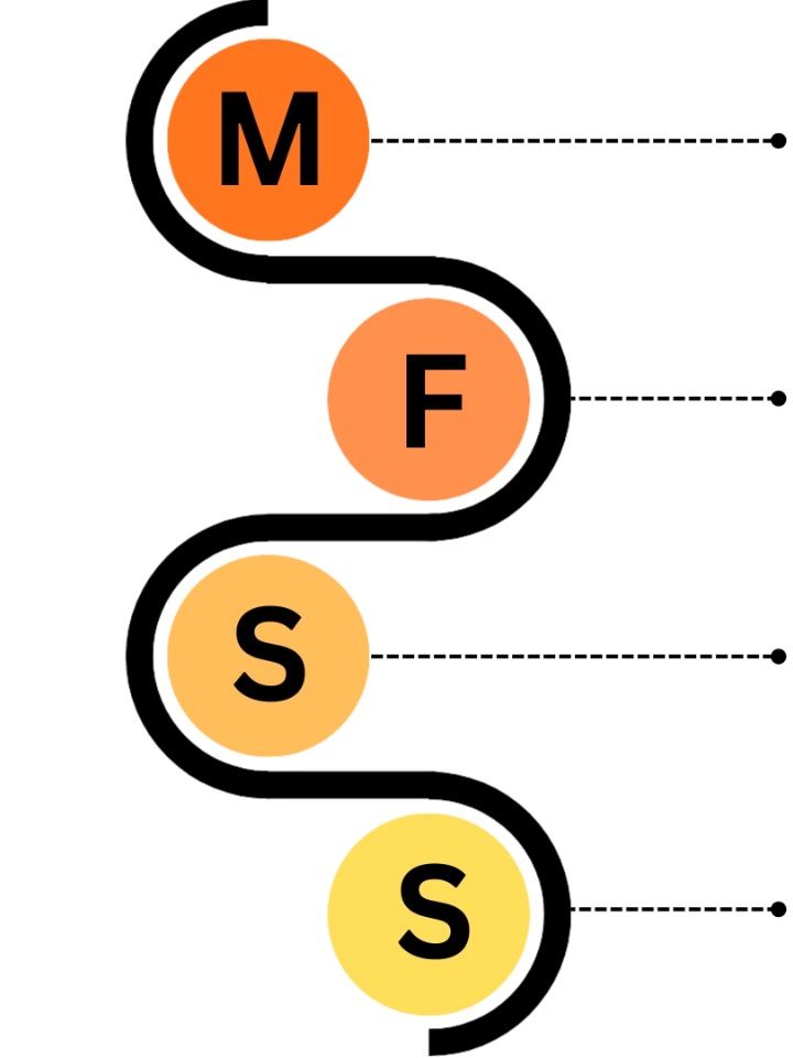 mfss-core